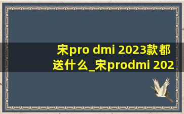 宋pro dmi 2023款都送什么_宋prodmi 2023款上什么牌